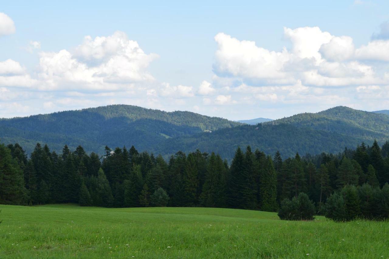 Forrest Apartment Krynica Zdroj